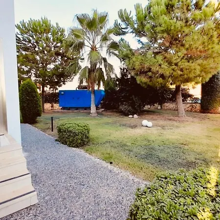 Agora Paradise